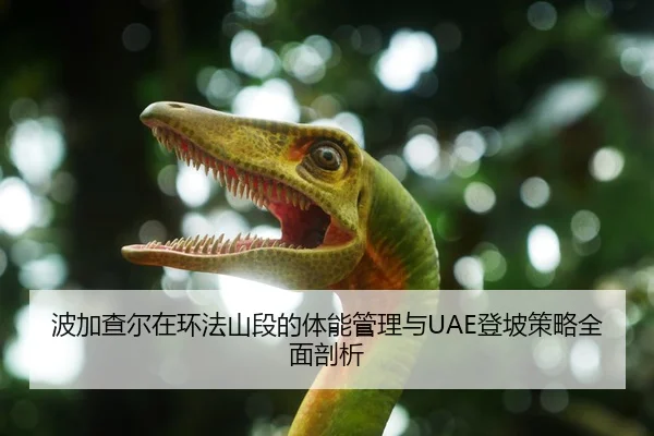 波加查尔在环法山段的体能管理与UAE登坡策略全面剖析