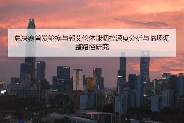 zong-jue-sai-shou-fa-lun-huan-yu-guo-ai-lun-ti-neng-tiao-kong-shen-du-fen-xi-yu-lin-chang-tiao-zheng-lu-jing-yan-jiu-2-486.jpg